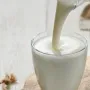 Lait fermenté